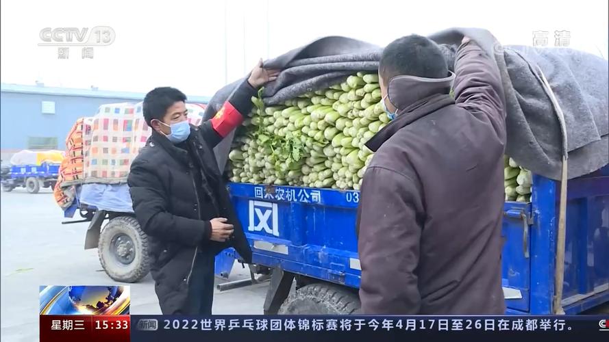 央視關注河南滑縣多方聯(lián)系銷路解決農產品銷售運輸問題