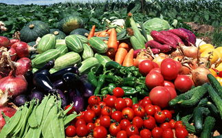 群英薈萃農(nóng)產(chǎn)品營(yíng)銷(xiāo)策劃 農(nóng)產(chǎn)品這么做,讓你事半功倍