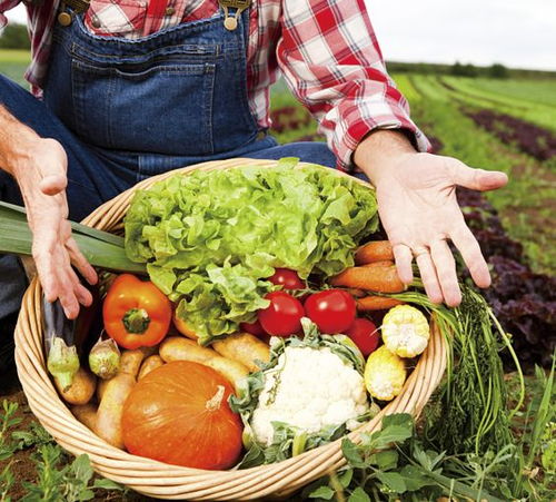 吃喝玩樂還有錢拿