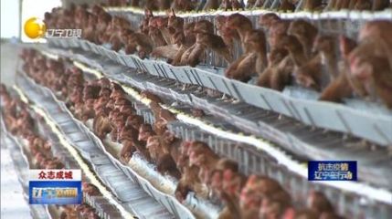 遼寧&ldquo;米袋子&rdquo;&ldquo;菜籃子&rdquo;等重要農產品供應充足