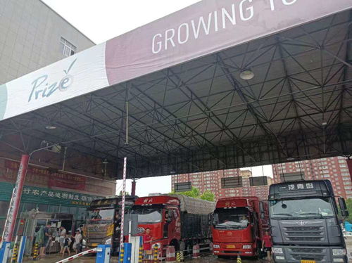 萬邦市場貨量充足,供應基本正常,農(nóng)副產(chǎn)品價格基本穩(wěn)定