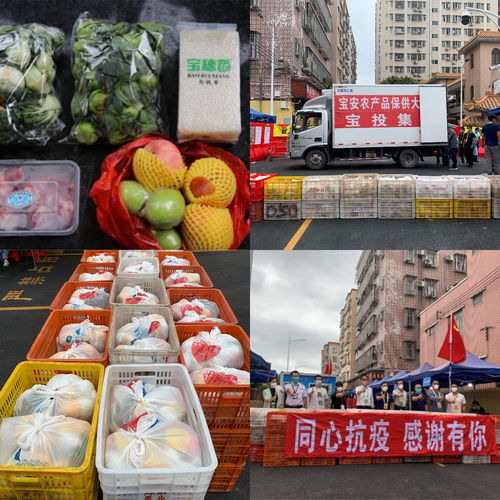 四步走 保證農(nóng)產(chǎn)品供得上 不斷檔 價格穩(wěn) 寶投集團全力服務(wù)居民 慢生活